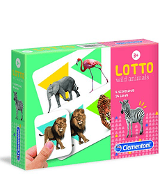 Lotto Animales Salvajes