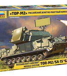 Russian anti-aircraft missile system "TOR-M2"