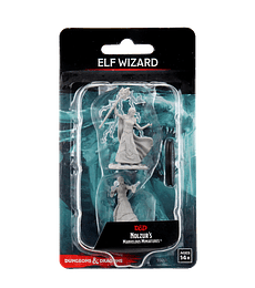 Figura D&D Elf Female Wizard