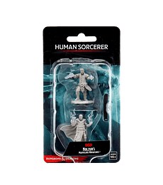 D&D Miniatura: Male Human Sorcerer