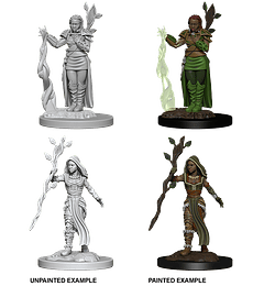 Figura D&D Human Female Druid