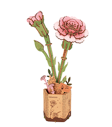 Preventa - ROWOOD Pink Carnation