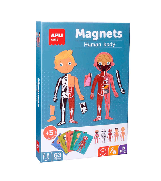 APLI: Magnets El cuerpo humano