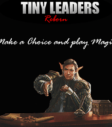 Inscripción Deluxe Liga Tniy Leaders - La Fortaleza