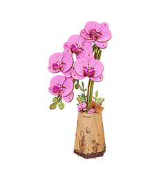 Preventa - ROWOOD Purple Moth Orchid