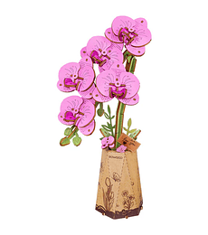 Preventa - ROWOOD Purple Moth Orchid