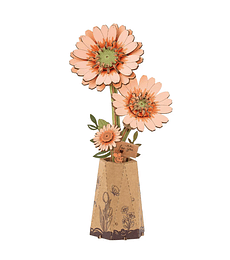 Preventa - ROWOOD Light Orange Gerbera