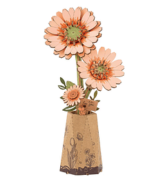 Preventa - ROWOOD Light Orange Gerbera