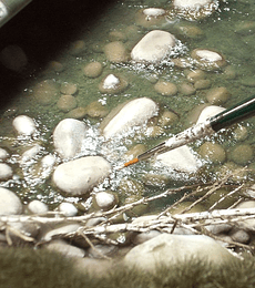 Gel de efectos de agua 100ML