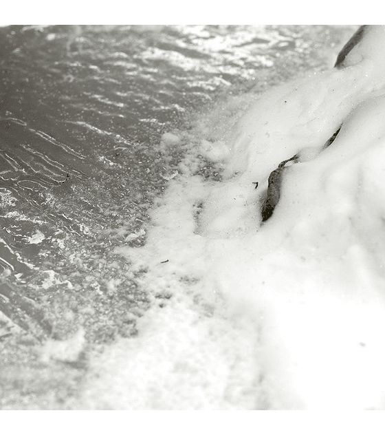 Nieve en polvo 100ML