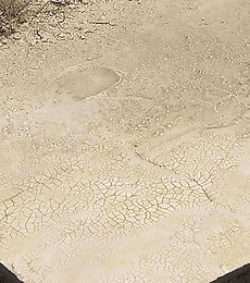 Efecto craquelado claro y seco 100ML