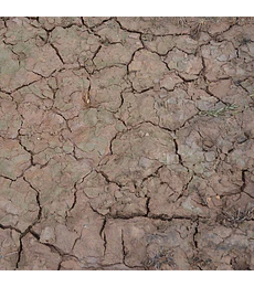 Efecto craquelado húmedo 100ML