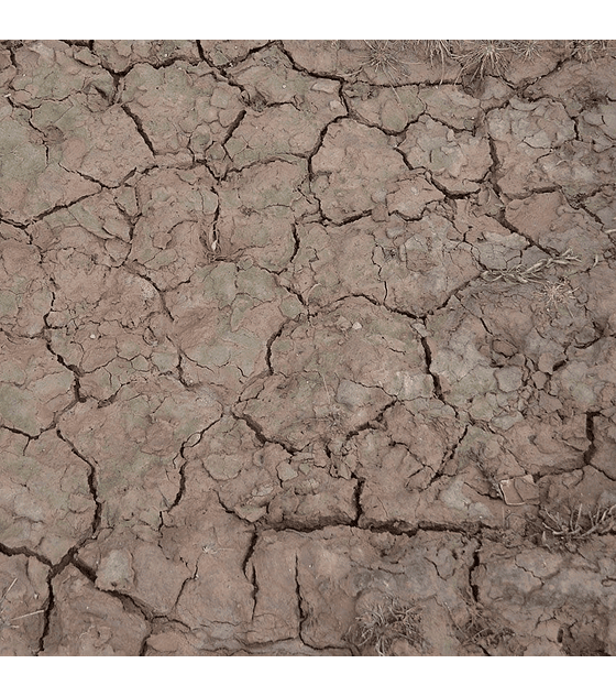 Efecto craquelado húmedo 100ML