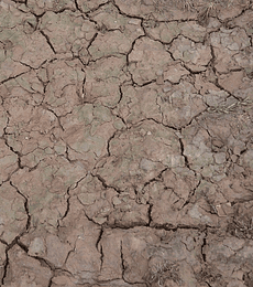 Efecto craquelado húmedo 100ML