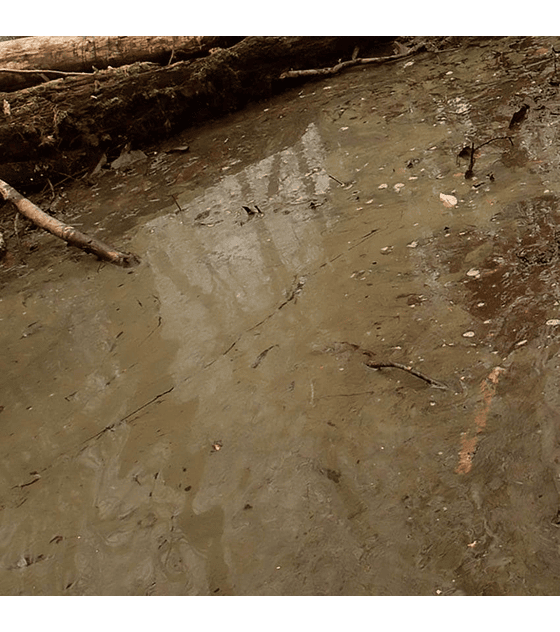 Gel de agua verde pantano 250ML