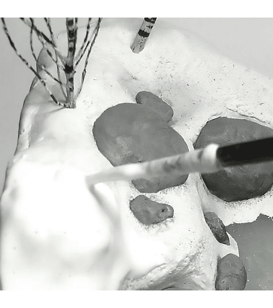 Terrenos Nieve 250ML