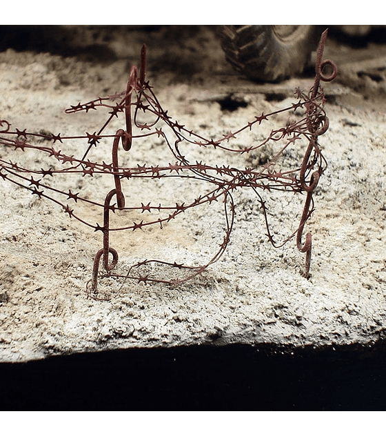 Terrenos suelo seco 250ML