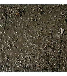 Terrenos suelo húmedo 250ML