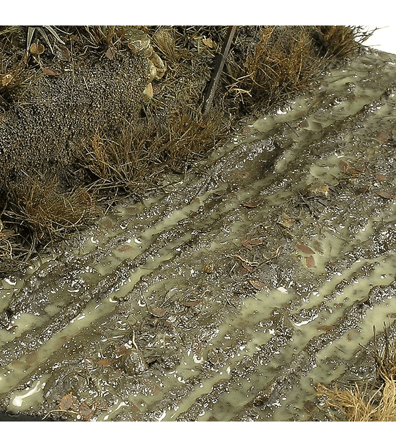 Terrenos suelo húmedo 250ML