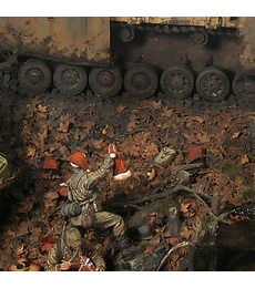 Terrenos suelo embarrado 250ML