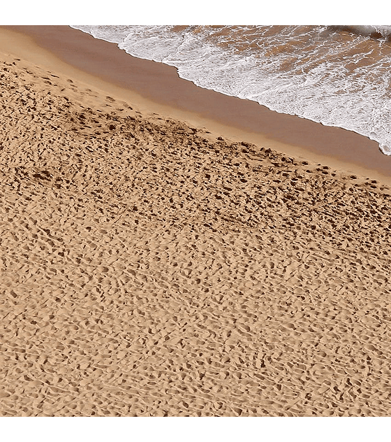 Terrenos Arena de playa 250ML