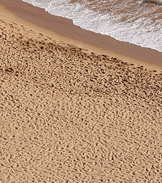 Terrenos Arena de playa 250ML