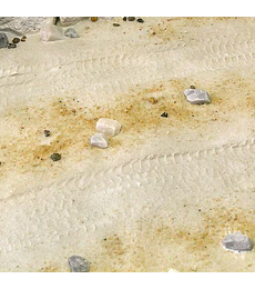 Terrenos Arena del desierto 250ML