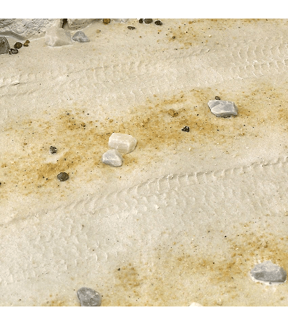 Terrenos Arena del desierto 250ML