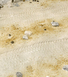 Terrenos Arena del desierto 250ML