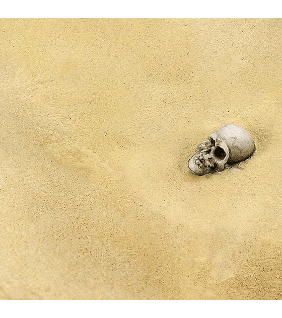 Terrenos Arena del desierto 250ML