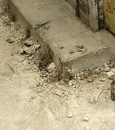 Terrenos tierra clara 250ML