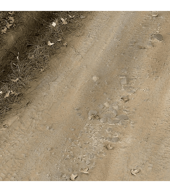 Terrenos tierra clara 250ML