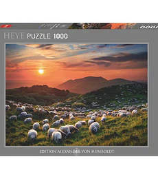 Puzzle Heye 1000 Pcs - Sheep and Volcanoes