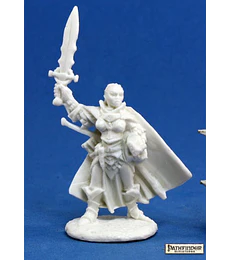 Figura Seelah, Iconic Paladin