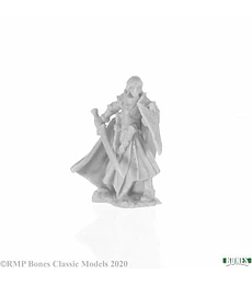 Figura Alandin, Elf Paladin