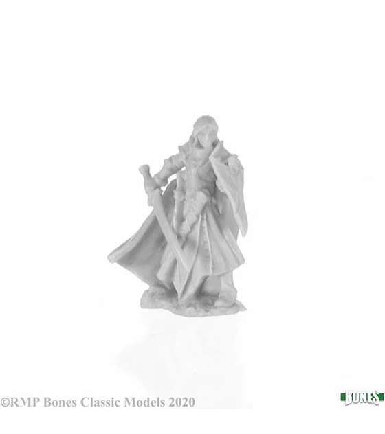 Figura Alandin, Elf Paladin