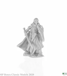 Figura Alandin, Elf Paladin