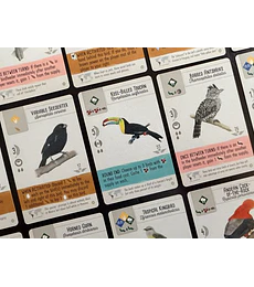 Preventa - Wingspan: Expansion América 