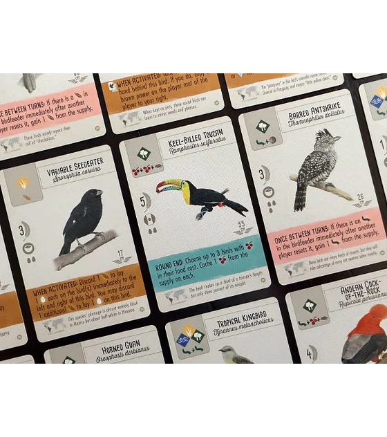 Preventa - Wingspan: Expansion América 