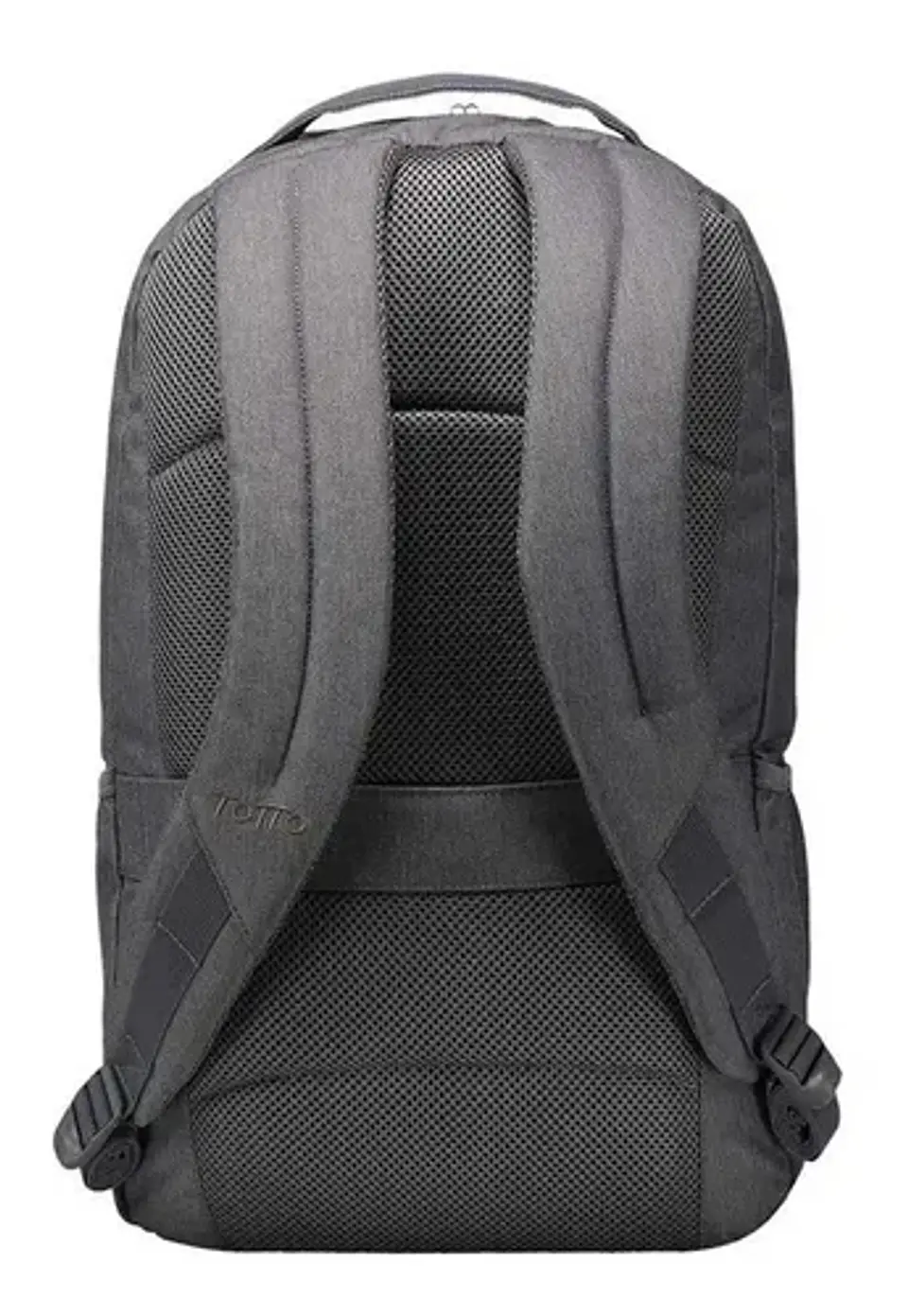 Morral Compliment 3