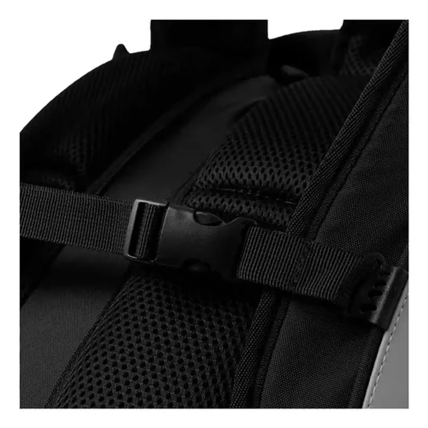 Morral Baures 13