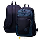 Morral Bejor - Miniatura 15