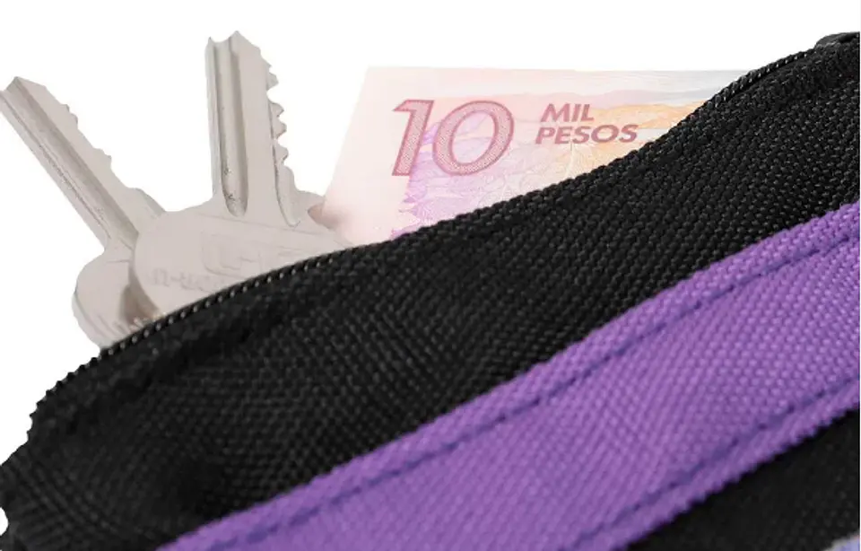 Monedero Lona Melifera 10