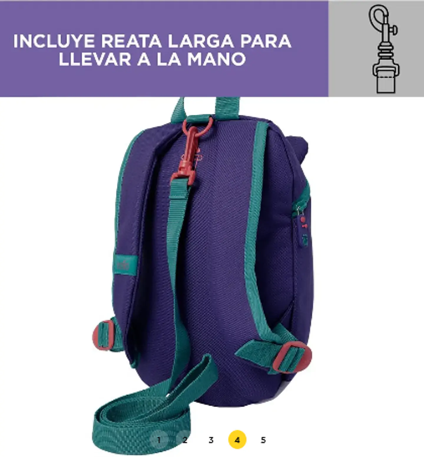 Morral Cornejo 4