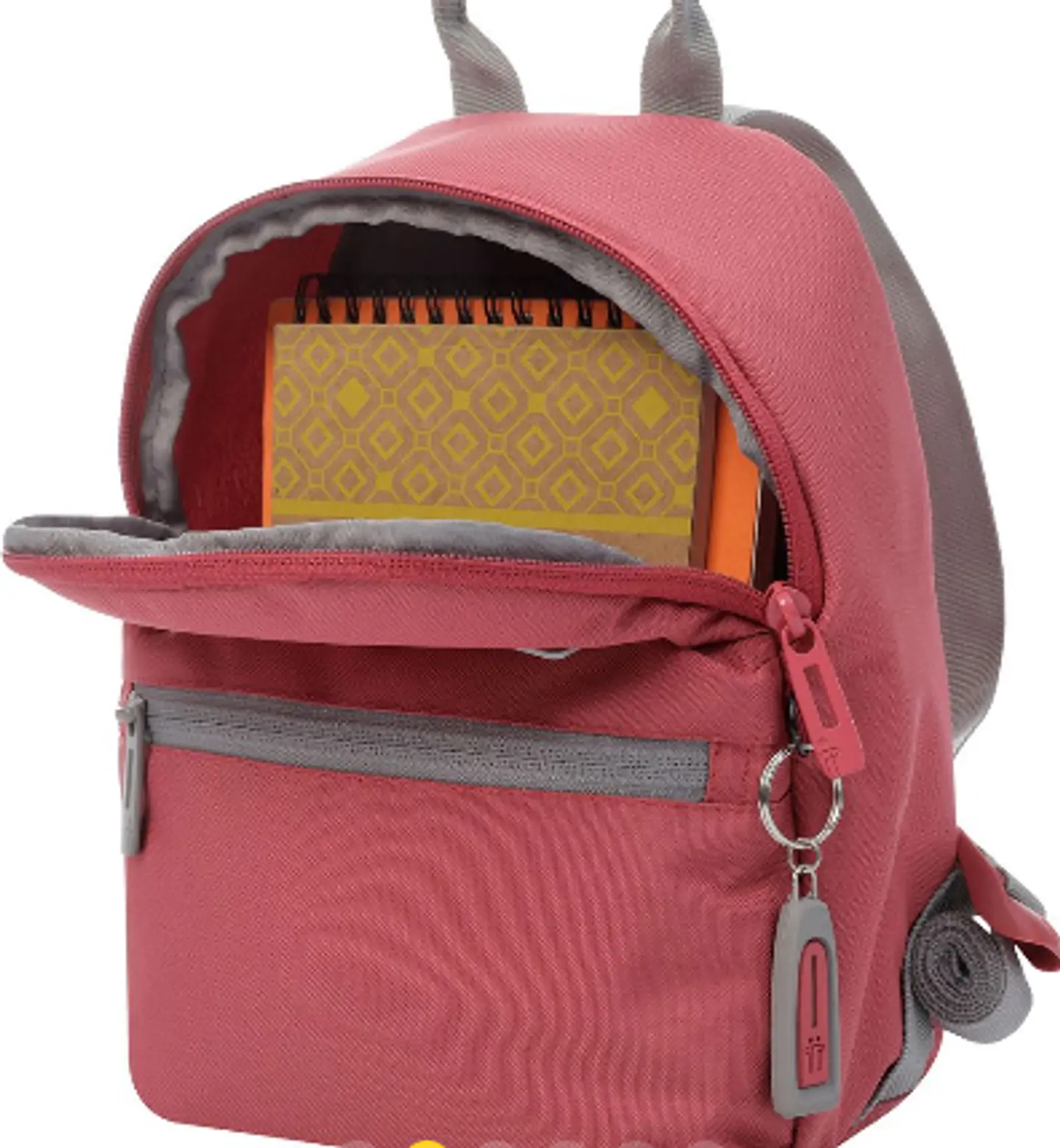 Morral Pequeño Dragonary 15
