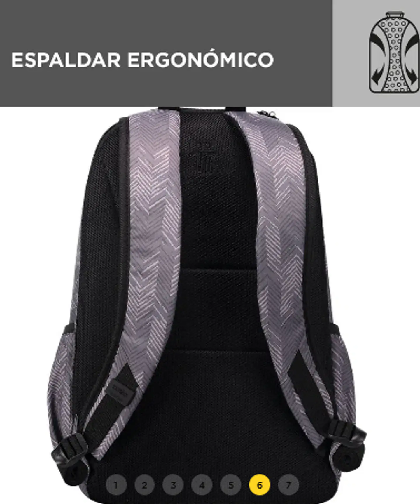 Morral Tracer 2 10