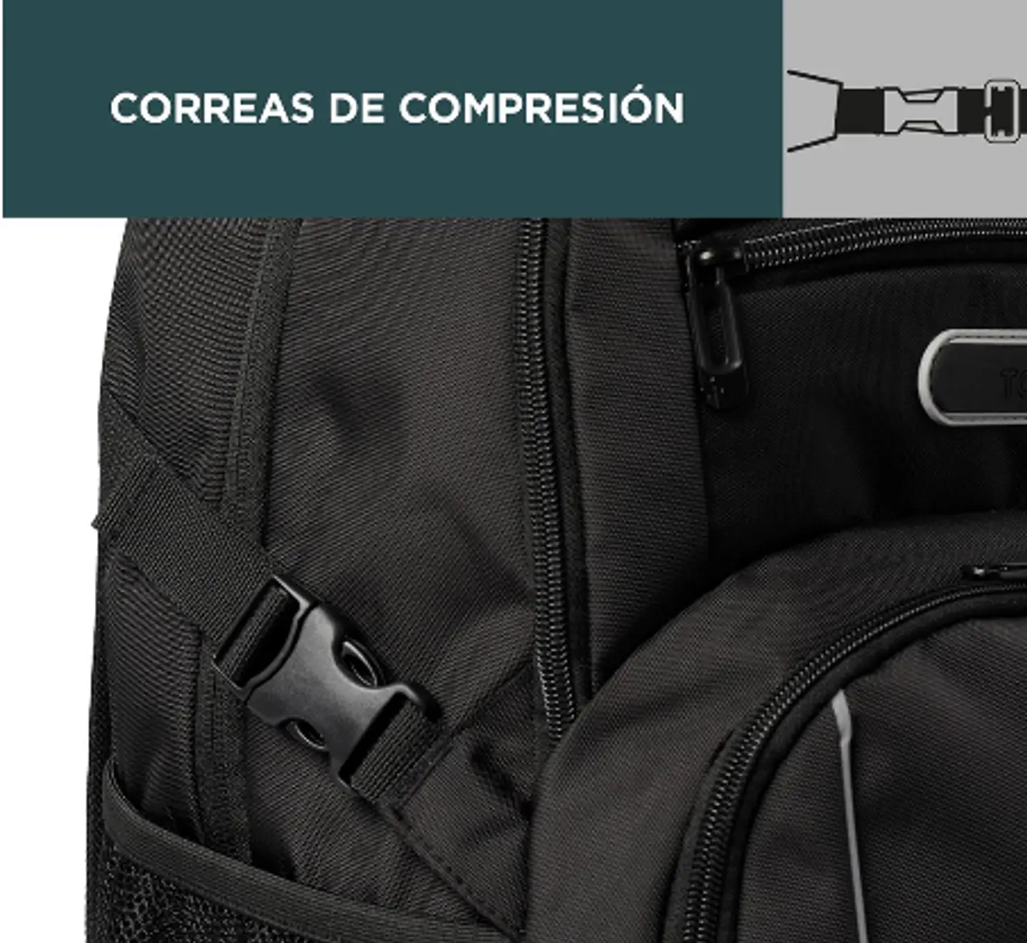 Morral Crotker 5