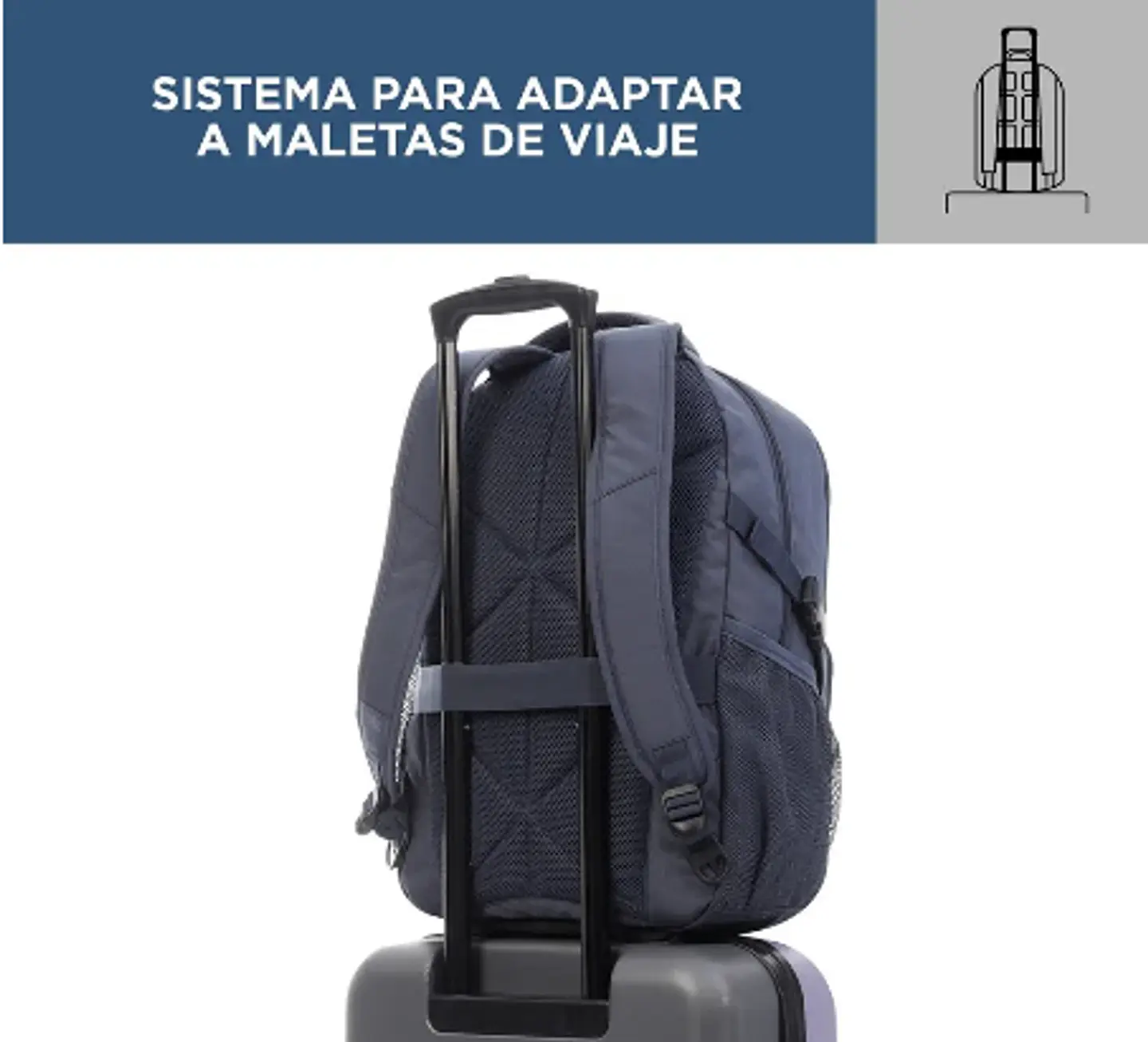 Morral Crotker 14