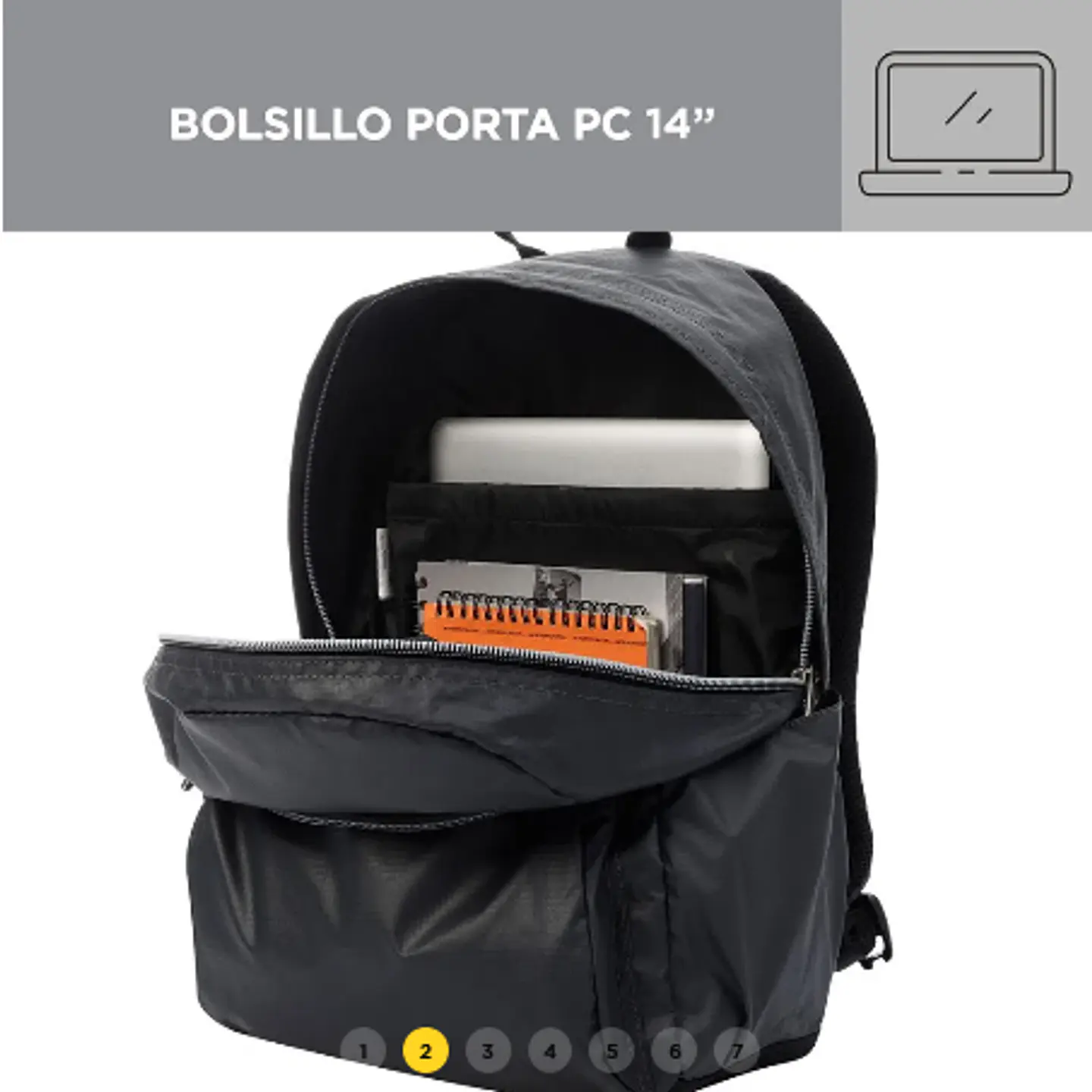 Morral Acuarel  2