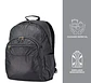 Morral Acuarel  - Miniatura 4